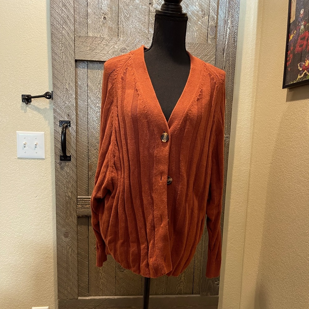 Urban Outfitters Rust Colored Cardigan